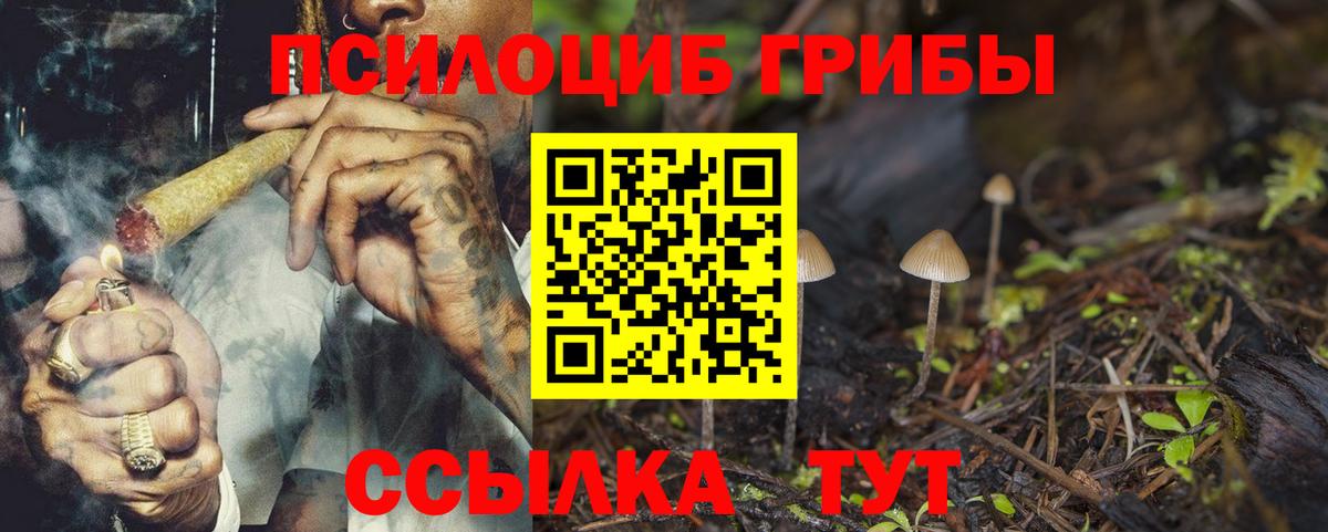 Будённовск  Галлюциногенные грибы ЛСД  Вход с VPN  Псилоцибиновые грибы Cubensis 